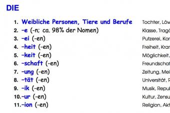 Das Geschlecht der Substantive - არსებითი სახელების სქესი გერმანული გაკვეთილის დავალებაში