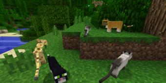 How to tame animals in Minecraft
